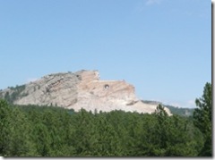 Crazy Horse crop 154